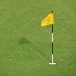 The Flag Chart Pattern